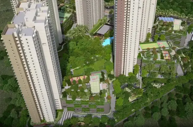 Alembic Cloud Forest Project Overview